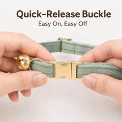 NonoPets Premium Velvet Cat Collar with Gold Bell & Safety Buckle, Green, Small: 10-in neck, 1/2-in wide slide 2 of 9