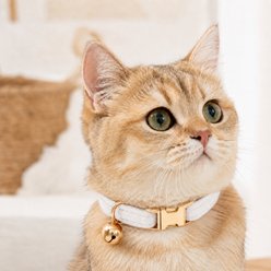 NonoPets Premium Velvet Cat Collar with Gold Bell & Safety Buckle, White, Large: 12-in neck, 1/2-in wide slide 2 of 9