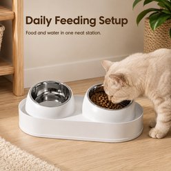 NonoPets Raised Frame Easy Clean Setup Organized Daily Food & Water Serving Double & Removable Bowl Stainless Steel Dog & Cat Feeder, Blue slide 2 of 9