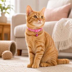 NonoPets Reflective Paw Print Cat Collar with Safety Breakaway Buckle & Bell, 12.6-in neck, 1/2-in wide, Dark Blue slide 2 of 8