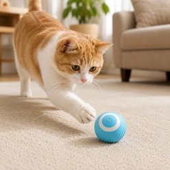 NonoPets Smart Interactive Obstacle Avoidance USB-C Rechargeable Electronic Automatic Motion Activated Rolling Ball Cat Toy, Blue