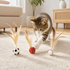 NonoPets 3-Pack Interactive Sports-Themed Elastic Feather Exercise Ball Cat Toy Set slide 1 of 9