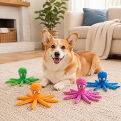 NonoPets Squeaky Octopus Crinkle Interactive Stuffed Animal Plush Dog Toys Set, 4 count