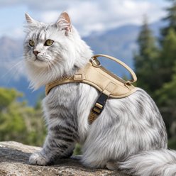 NonoPets Tailored Tactical Mesh Front Clip Dog & Cat Vest Harness with Control Handle, Beige, Small: 12.6 to 14.2-in chest