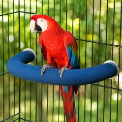 NonoPets U-Shaped Quartz Large 10-in Non-Slip Pedicure Standing Bar, Durable Nail Trimming Surface with Dual Wing-Nut Mounting Bird Grooming Perch, Blue