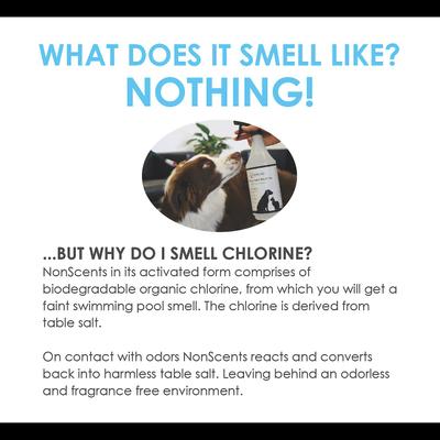 Show full view: NonScents Pet Odor & Stain Remover Spray, 32-fl oz slide 9 of 9