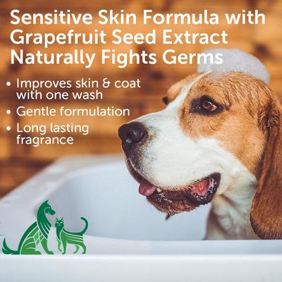 Show full view: Nootie Coconut Lime Verbena Hypoallergenic Formula Dog Shampoo, 16-fl oz bottle slide 2 of 9