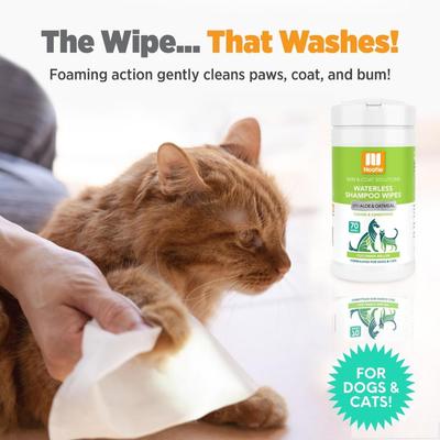 Show full view: Nootie Cucumber Melon Dog & Cat Waterless Shampoo Wipes, 70 count slide 4 of 7