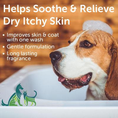 Show full view: Nootie Cucumber Melon Soothing Formula Dog Shampoo, 1-gal bottle slide 4 of 10