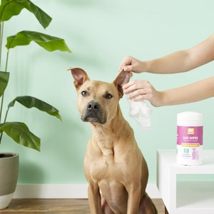 Nootie Japanese Cherry Blossom Dog & Cat Ear Wipes, 70 count