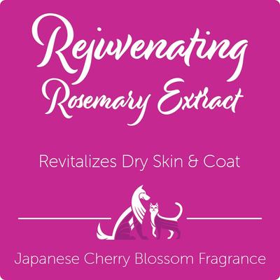 Show full view: Nootie Japanese Cherry Blossom Rejuvenating Formula Dog Shampoo, 16-fl oz bottle slide 4 of 10