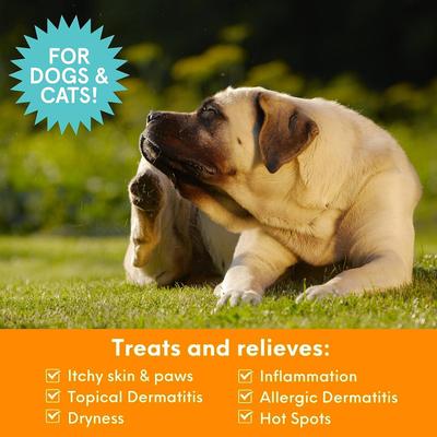 Show full view: Nootie Medicated Itch Relief Spray for Dogs & Cats, 8-fl oz bottle slide 3 of 9