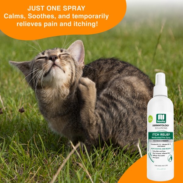 Show full view: Nootie Medicated Itch Relief Spray for Dogs & Cats, 8-fl oz bottle slide 4 of 8