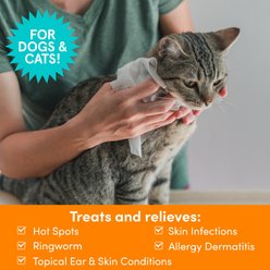 Nootie Medicated Antimicrobial Dog Ear & Skin Wipes, 60 count slide 2 of 6