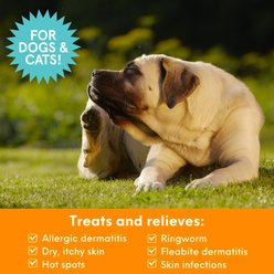Nootie Medicated Antimicrobial Dog Shampoo, 8-fl oz bottle slide 2 of 5