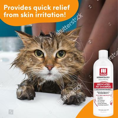 Show full view: Nootie Medicated Antimicrobial Dog Shampoo, 8-fl oz bottle slide 5 of 7