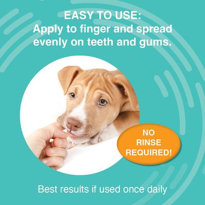 Show full view: Nootie Oral Solutions Medicated Dog Dental Gel, 4-fl oz bottle slide 6 of 7