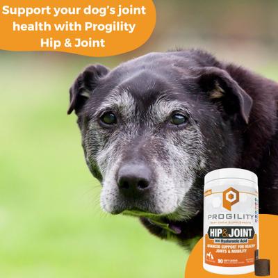 Show full view: Nootie Progility Hip & Joint with Glucosamine & Chondroitin Soft Chew Supplement for Dogs, 90 count slide 3 of 6