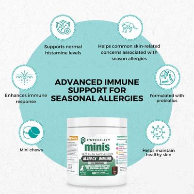 Show full view: Nootie Progility Minis Allergy & Immune for Seasonal Allergies Soft Chew Supplement for Dogs, 60 count slide 3 of 7