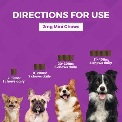 Show full view: Nootie Progility Minis Calming Aid with Melatonin Soft Chew Supplement for Dogs, 60 count slide 3 of 6