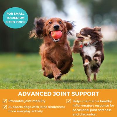 Show full view: Nootie Progility Minis Hip & Joint with Glucosamine & Chondroitin Soft Chew Supplement for Dogs, 60 count slide 4 of 6