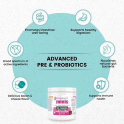 Nootie Progility Minis Pre & Probiotics with Enzymes Soft Chew Supplements, 60 count slide 2 of 3