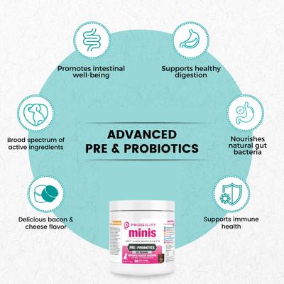 Show full view: Nootie Progility Minis Pre & Probiotics with Enzymes Soft Chew Supplements, 60 count slide 3 of 4