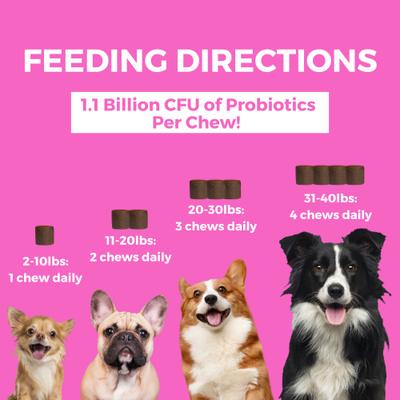 Show full view: Nootie Progility Minis Pre & Probiotics with Enzymes Soft Chew Supplements, 60 count slide 4 of 4