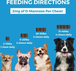 Nootie Progility Minis Skin & Coat with Krill Oil Soft Chew Supplement for Dogs, 60 count slide 2 of 4