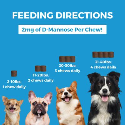 Show full view: Nootie Progility Minis Skin & Coat with Krill Oil Soft Chew Supplement for Dogs, 60 count slide 4 of 5