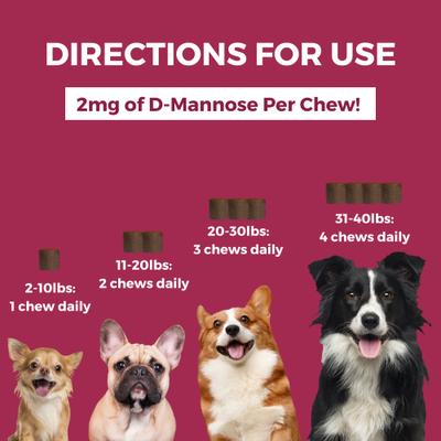 Show full view: Nootie Progility Minis Urinary Support with D-Mannose Soft Chew Supplement for Dogs, 60 count slide 4 of 5