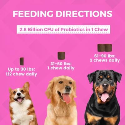 Show full view: Nootie Progility Pre & Probiotics with Enzymes Soft Chew Supplement for Dogs, 90 count slide 4 of 5