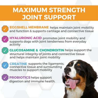 Show full view: Nootie ProgilityMAX Hip & Joint with Eggshell Membrane, Glucosamine & Chondroitin Supplement for Large Dogs, 60 count slide 3 of 6