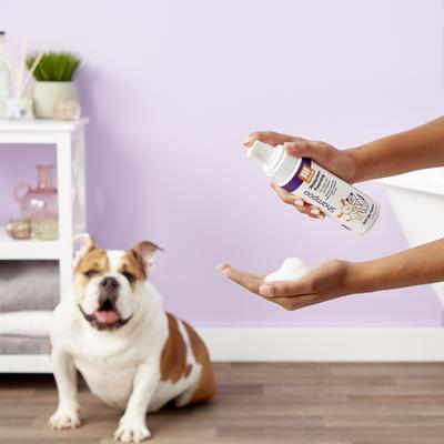 Show full view: Nootie Soft Lilly Passion Waterless Foaming Formula Dog Shampoo, 7-fl oz bottle slide 4 of 10