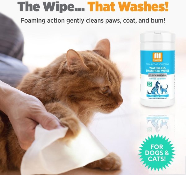 Show full view: Nootie Sweet Pea & Vanilla Dog & Cat Waterless Shampoo Wipes, 70 count slide 3 of 8