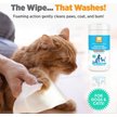 Show in main carousel: Nootie Sweet Pea & Vanilla Dog & Cat Waterless Shampoo Wipes, 70 count slide 3 of 8