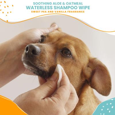 Show full view: Nootie Sweet Pea & Vanilla Dog & Cat Waterless Shampoo Wipes, 70 count slide 3 of 9