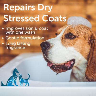 Show full view: Nootie Sweet Pea & Vanilla Nourishing Formula Dog Shampoo, 1-gal bottle slide 3 of 11