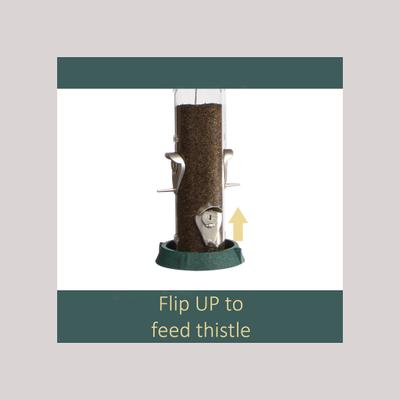 Show full view: North States 2-in-1 Hinged-Port Bird Feeder, 4-Perch, Green slide 3 of 7