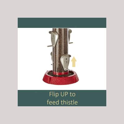 Show full view: North States 2-in-1 Hinged-Port Bird Feeder, 4-Perch, Red slide 3 of 7