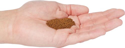 Show full view: NorthFin Betta Bits 1 mm Pellets Fish Food, 100-g bag slide 4 of 4