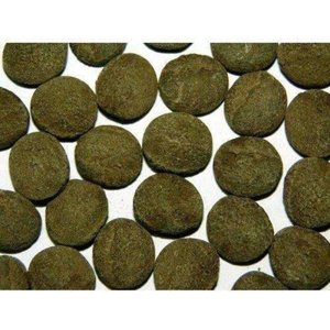 NorthFin Cichlid Formula 2 mm Sinking Pellets Fish Food, 500-g bag