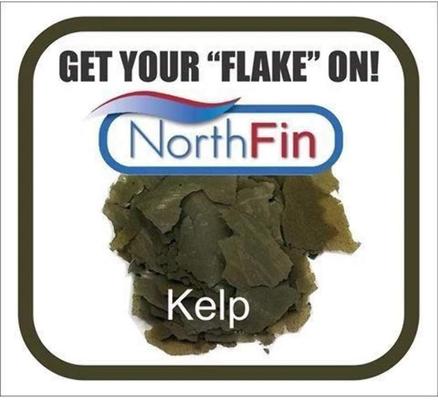 Show full view: NorthFin Kelp Flake Formula Fish Food, 350-g jar slide 5 of 6