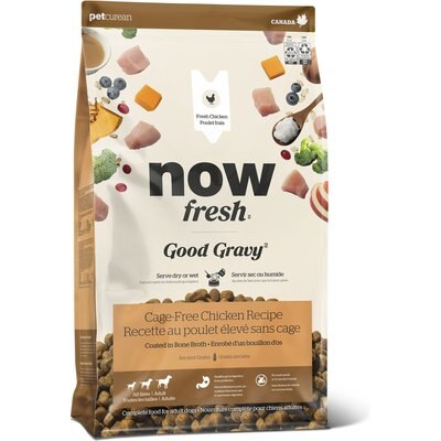 Now Fresh Now Fresh Good Gravy Ancient Grains Adult Chicken Recipe Dry Dog Food, 22-lb bag