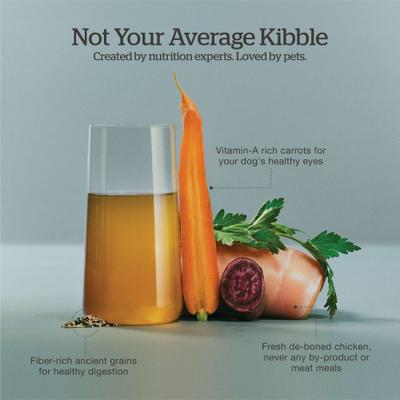 Show full view: Now Fresh Good Gravy Ancient Grains Adult Chicken Recipe Dry Dog Food, 22-lb bag slide 7 of 11