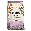 Now Fresh Good Gravy Ancient Grains Adult Salmon Recipe Dry Dog Food, 22-lb bag