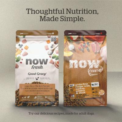 Show full view: Now Fresh Good Gravy Ancient Grains Adult Salmon Recipe Dry Dog Food, 22-lb bag slide 8 of 11