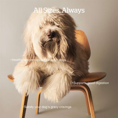 Show full view: Now Fresh Good Gravy Ancient Grains Adult Salmon Recipe Dry Dog Food, 22-lb bag slide 5 of 11