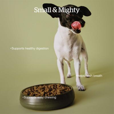 Show full view: Now Fresh Good Gravy Small Breed Ancient Grains Adult Chicken Recipe Dry Dog Food, 12-lb bag slide 5 of 11