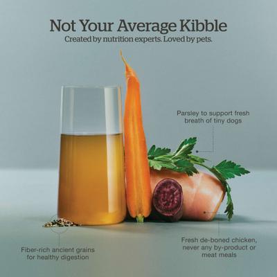 NOW FRESH Good Gravy Small Breed Ancient Grains Adult Chicken